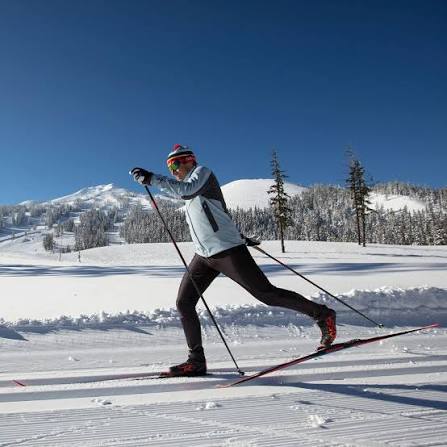 Cross-country skier on a snowy forest trail