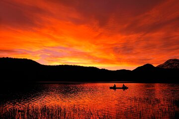 Canoes on a lake at night under a starry sky